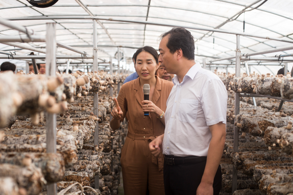 信念集团全产业链助力卢氏脱贫致富