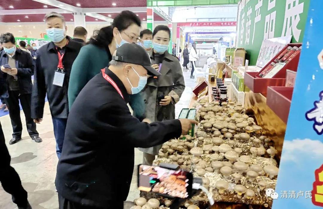 卢氏香菇再放异彩