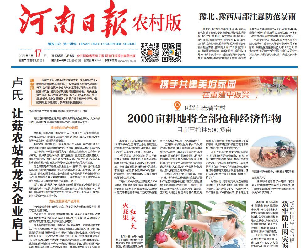 卢氏让菇农站在龙头企业肩上